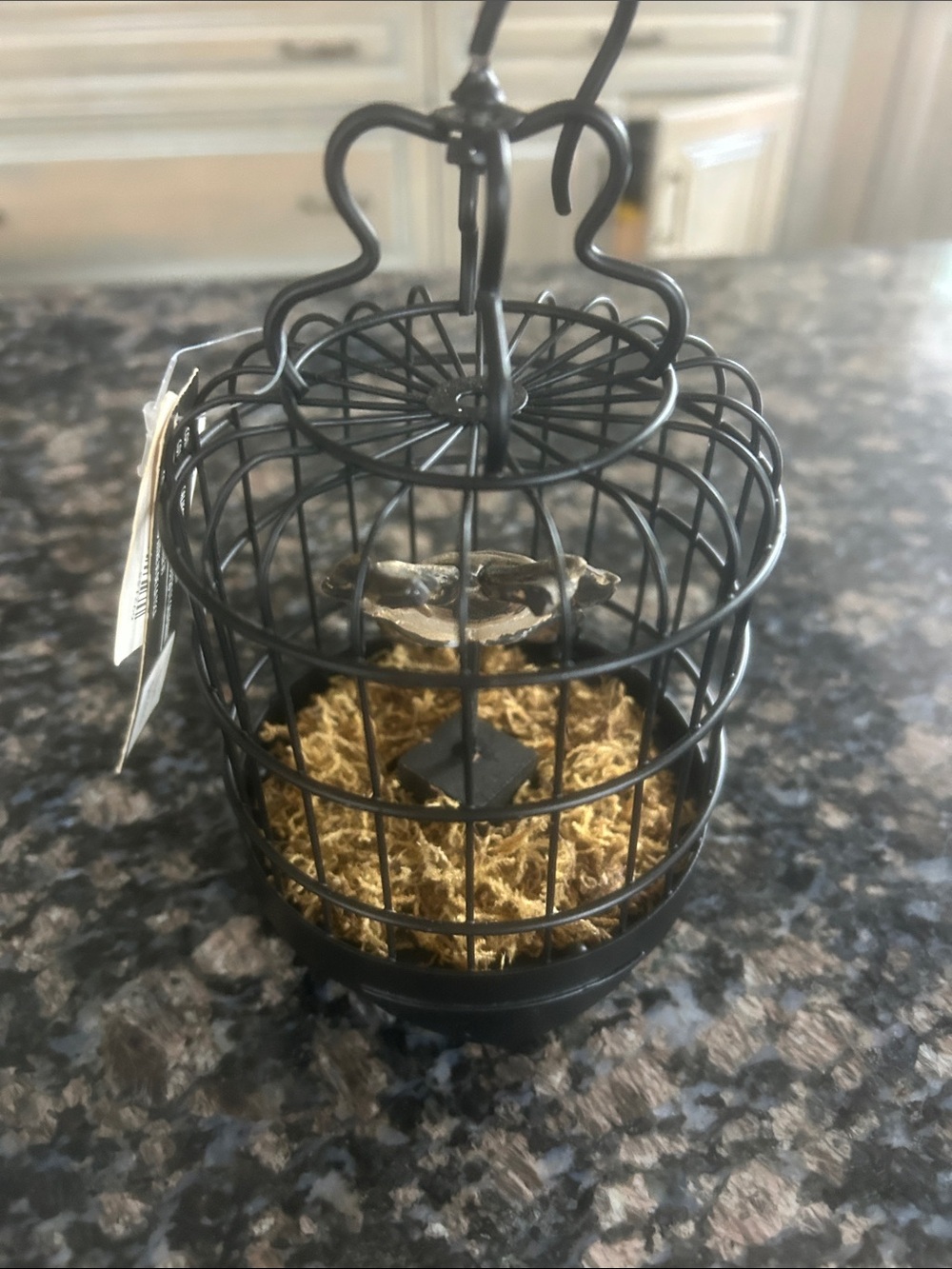 ASHLAND BLACK WIRE BIRDCAGE W BEETLE INSECT  W NATURAL MOSS NWT
